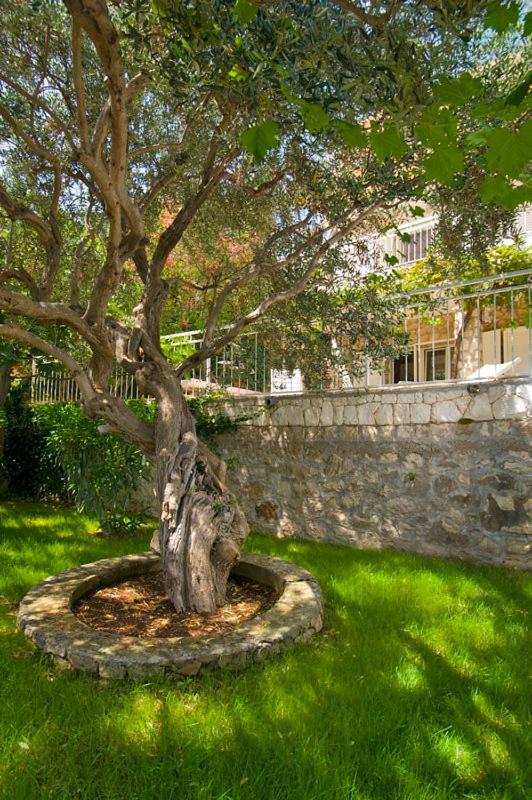 Holiday Home Duje โตรกีร์ ภายนอก รูปภาพ